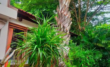 Disewakan Bulanan Dan Tahunan Villa Tropis Suasana Ubud Fully Furnished di Jimbaran.