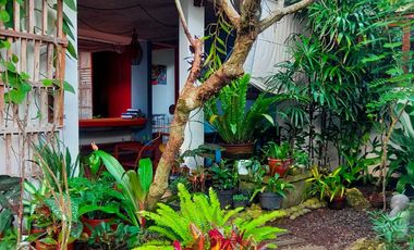 Disewakan Bulanan Dan Tahunan Villa Tropis Suasana Ubud Fully Furnished di Jimbaran.