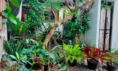 Disewakan Bulanan Dan Tahunan Villa Tropis Suasana Ubud Fully Furnished di Jimbaran.