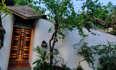 Disewakan Bulanan Dan Tahunan Villa Tropis Suasana Ubud Fully Furnished di Jimbaran.