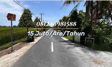 FOR RENT TANAH KOMERSIAL HOEK DI JALUR UTAMA PANTAI YEH GANGGA – TRAFIK TINGGI, SIAP USAHA