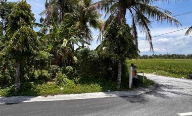 FOR RENT TANAH KOMERSIAL HOEK DI JALUR UTAMA PANTAI YEH GANGGA – TRAFIK TINGGI, SIAP USAHA