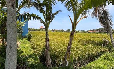 FOR RENT TANAH KOMERSIAL HOEK DI JALUR UTAMA PANTAI YEH GANGGA – TRAFIK TINGGI, SIAP USAHA