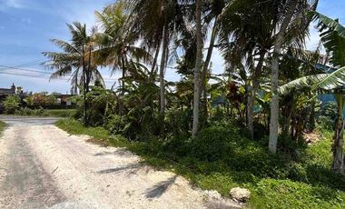 FOR RENT TANAH KOMERSIAL HOEK DI JALUR UTAMA PANTAI YEH GANGGA – TRAFIK TINGGI, SIAP USAHA