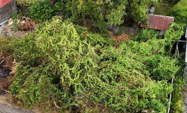 VILLA EXSKLUSIF  SANGAT BAGUS DEKAT PANTAI PREMIUM LOKASI UNGASAN