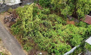 VILLA EXSKLUSIF  SANGAT BAGUS DEKAT PANTAI PREMIUM LOKASI UNGASAN