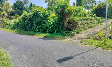 jual tanah murah penebel.18 are harga 80/ are