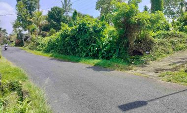 jual tanah murah penebel.18 are harga 80/ are