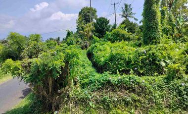 jual tanah murah penebel.18 are harga 80/ are