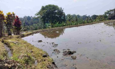 jual tanah murah penebel.18 are harga 80/ are