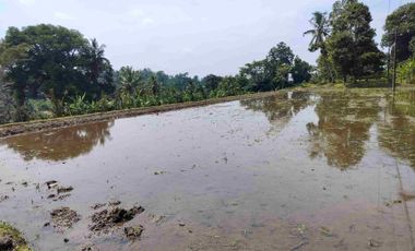 jual tanah murah penebel.18 are harga 80/ are