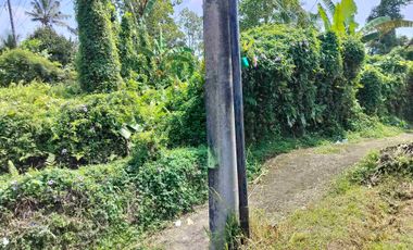 jual tanah murah penebel.18 are harga 80/ are