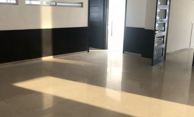 Local Comercial en Renta en Av Leones