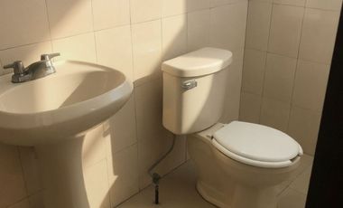 Local Comercial en Renta en Av Leones