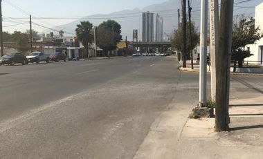 Local Comercial en Renta en Av Leones