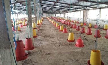 PROPIEDAD AGROPECUARIA Y AVÍCOLA EN VENTA – 6.800 m²