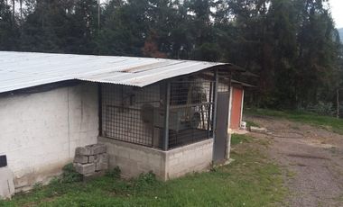 PROPIEDAD AGROPECUARIA Y AVÍCOLA EN VENTA – 6.800 m²