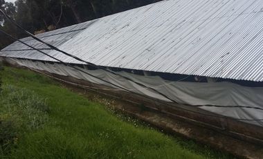PROPIEDAD AGROPECUARIA Y AVÍCOLA EN VENTA – 6.800 m²