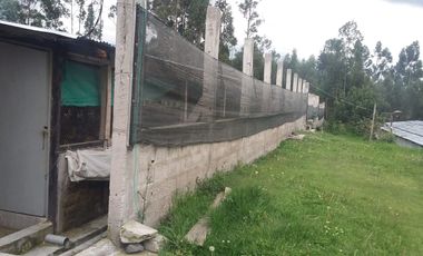 PROPIEDAD AGROPECUARIA Y AVÍCOLA EN VENTA – 6.800 m²