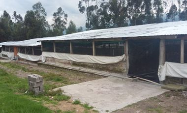 PROPIEDAD AGROPECUARIA Y AVÍCOLA EN VENTA – 6.800 m²