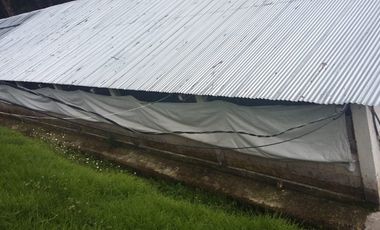PROPIEDAD AGROPECUARIA Y AVÍCOLA EN VENTA – 6.800 m²
