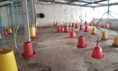 PROPIEDAD AGROPECUARIA Y AVÍCOLA EN VENTA – 6.800 m²