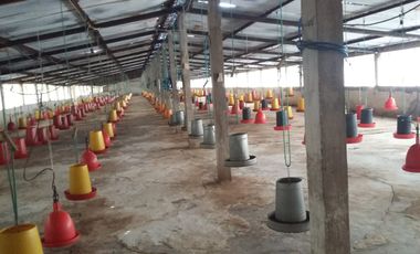 PROPIEDAD AGROPECUARIA Y AVÍCOLA EN VENTA – 6.800 m²
