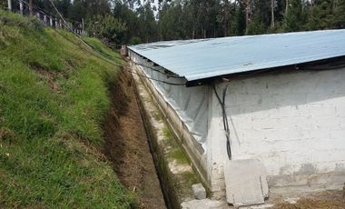 PROPIEDAD AGROPECUARIA Y AVÍCOLA EN VENTA – 6.800 m²
