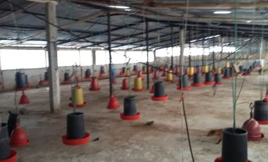 PROPIEDAD AGROPECUARIA Y AVÍCOLA EN VENTA – 6.800 m²