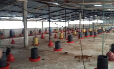 PROPIEDAD AGROPECUARIA Y AVÍCOLA EN VENTA – 6.800 m²