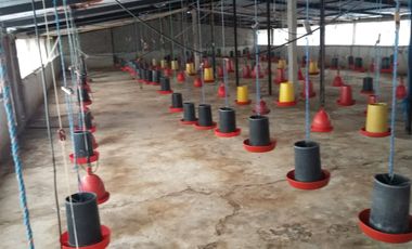PROPIEDAD AGROPECUARIA Y AVÍCOLA EN VENTA – 6.800 m²
