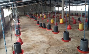 PROPIEDAD AGROPECUARIA Y AVÍCOLA EN VENTA – 6.800 m²