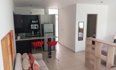 (CGE) BONITO LOFT TRIUMPH TOWER $11,500