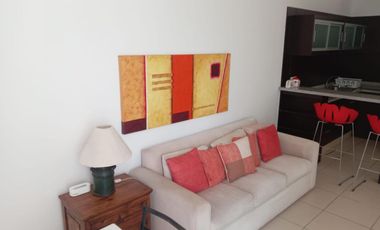 (CGE) BONITO LOFT TRIUMPH TOWER $11,500