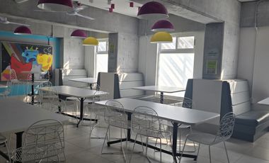 Departamento PARA JOVENES tipo Loft en renta cerca de la UANL