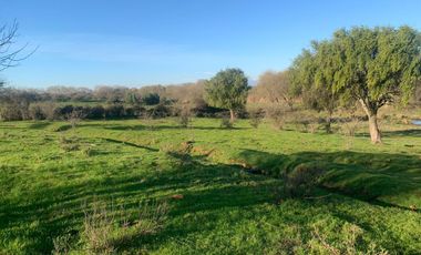 Se venden parcelas con luz,sin cobro de comisión en San Rafael