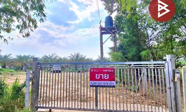 ขายบ้านเดี่ยวพร้อมที่ดิน เนื้อที่ 12 ไร่ 49 ตร.วา โนนตาล ร้อยเอ็ด