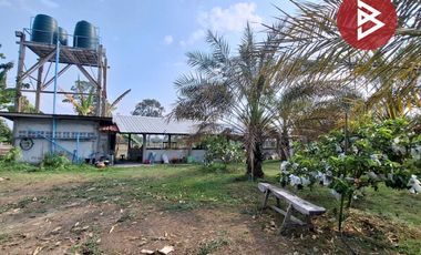 ขายบ้านเดี่ยวพร้อมที่ดิน เนื้อที่ 12 ไร่ 49 ตร.วา โนนตาล ร้อยเอ็ด