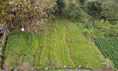 DIJUAL TANAH SHM SIMBARINGIN MOJOKERTO