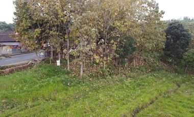 DIJUAL TANAH SHM SIMBARINGIN MOJOKERTO