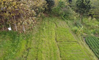 DIJUAL TANAH SHM SIMBARINGIN MOJOKERTO