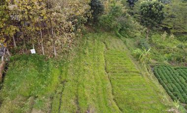 DIJUAL TANAH SHM SIMBARINGIN MOJOKERTO