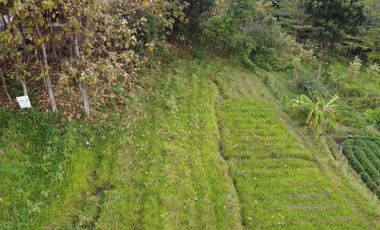 DIJUAL TANAH SHM SIMBARINGIN MOJOKERTO