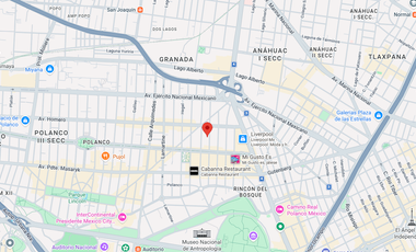 (AA) Oficina de oportunidad en Petrarca 223, Chapultepec Morales, Polanco V Secc, Miguel Hidalgo, 11560 Ciudad de México, CDMX