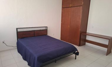 CENTRICO DEPA PARQUE ROJO