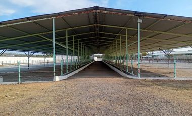 Rancho en venta en Axapusco