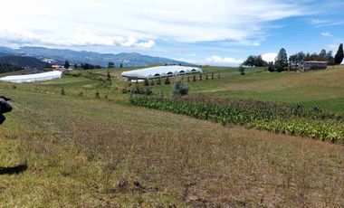 Venta Terreno campestre, ubicación a 10' de Cayambe, Ecuador