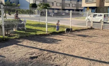 CASA EN REMATE EXCELENTES AMENIDADES UBICASION APARTA CON RECURSOS PROPIOS UNICA OPORTUNIDAD!Hacienda las Rosas, Cuautitlán