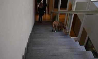 Casa en Venta en Condominio Cerrado en Calle Héroes de Padierna, San Jerónimo Lídice