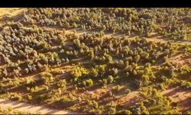 campo en venta 60 hectáreas